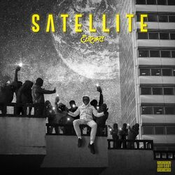 Cover of Satellite