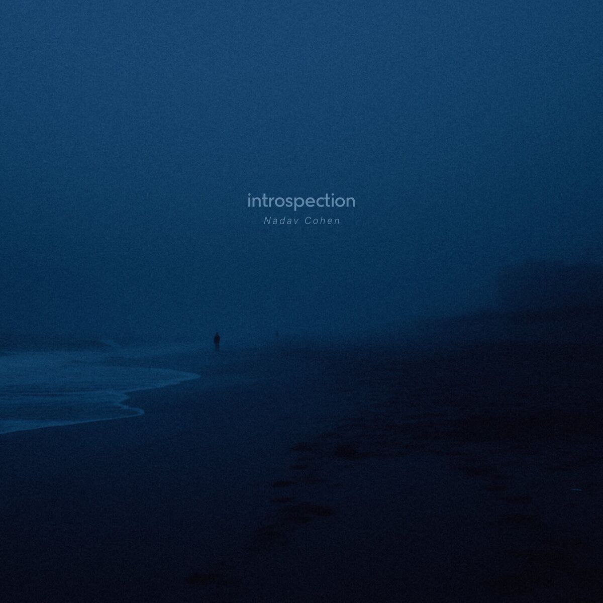 Album cover of introspection