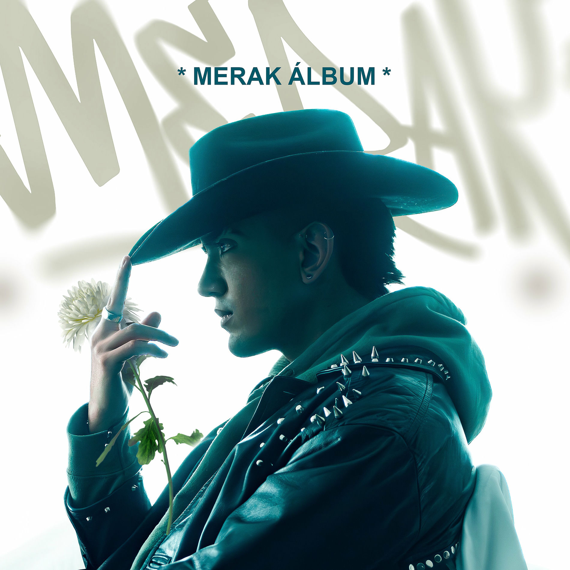Album cover of MERAK