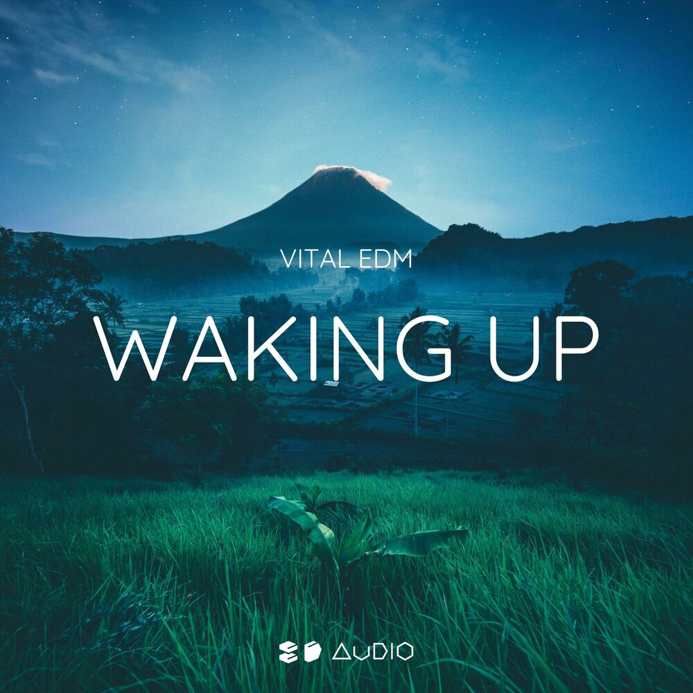 Picture of Waking Up