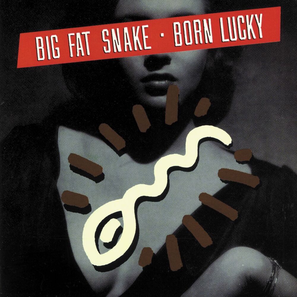 Picture of Born Lucky