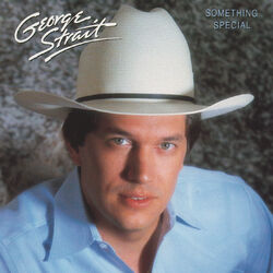 Cover of Something Special