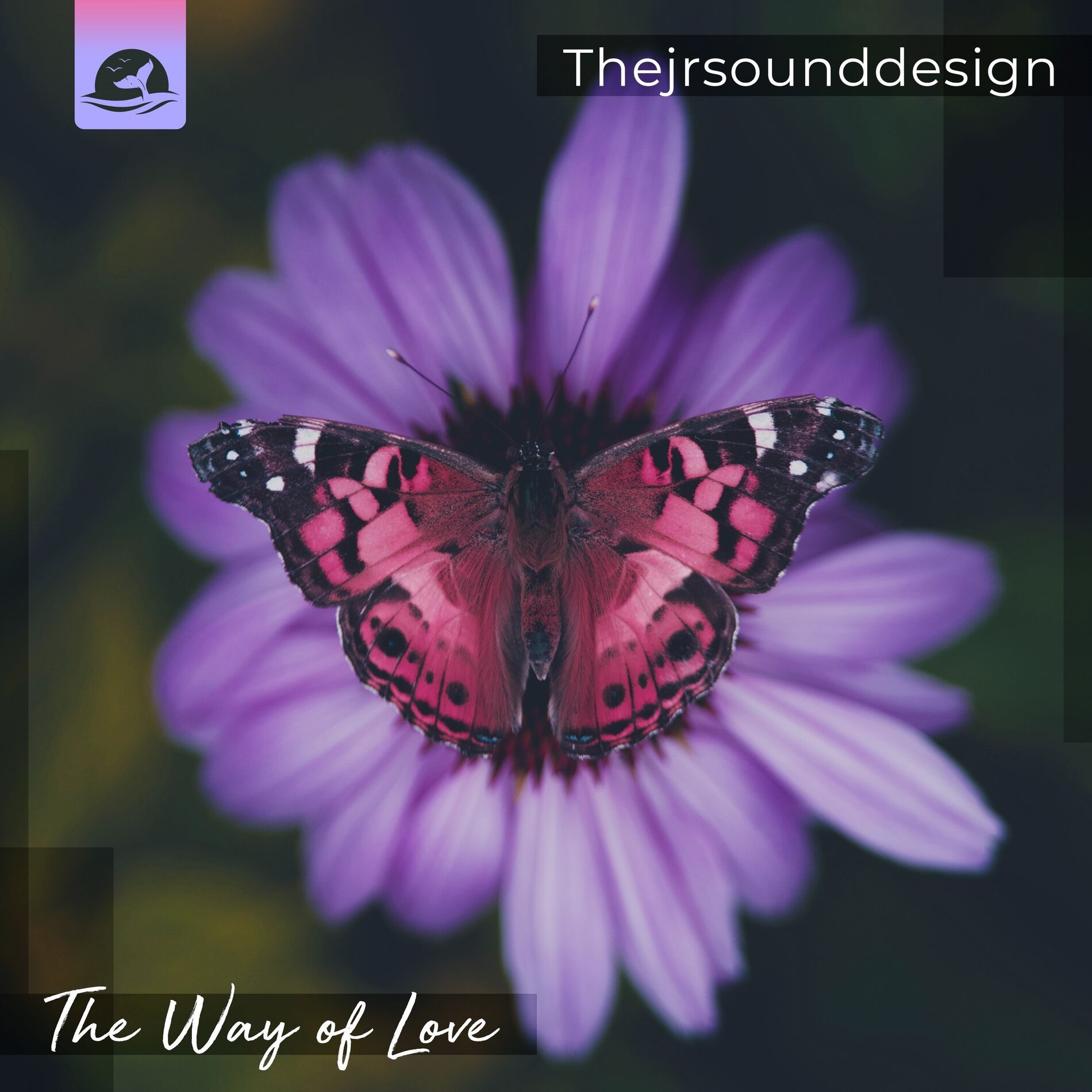 Album cover of The Way of Love