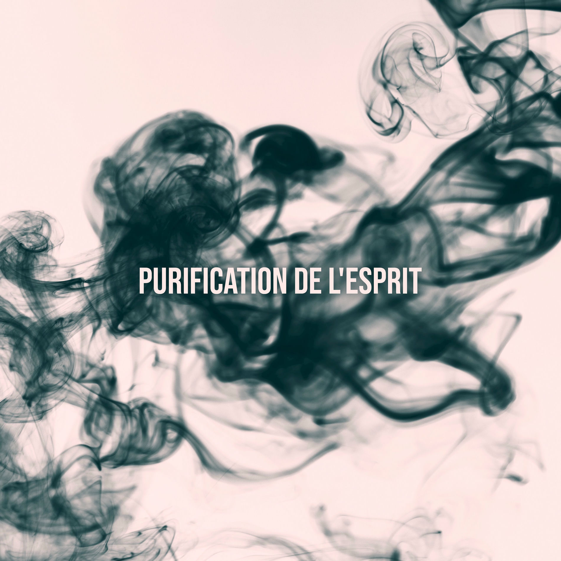 Album cover of Purification de l'esprit