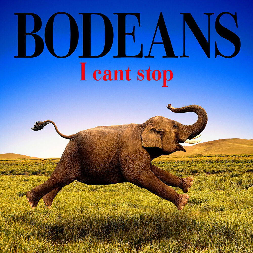 Picture of I Can't Stop