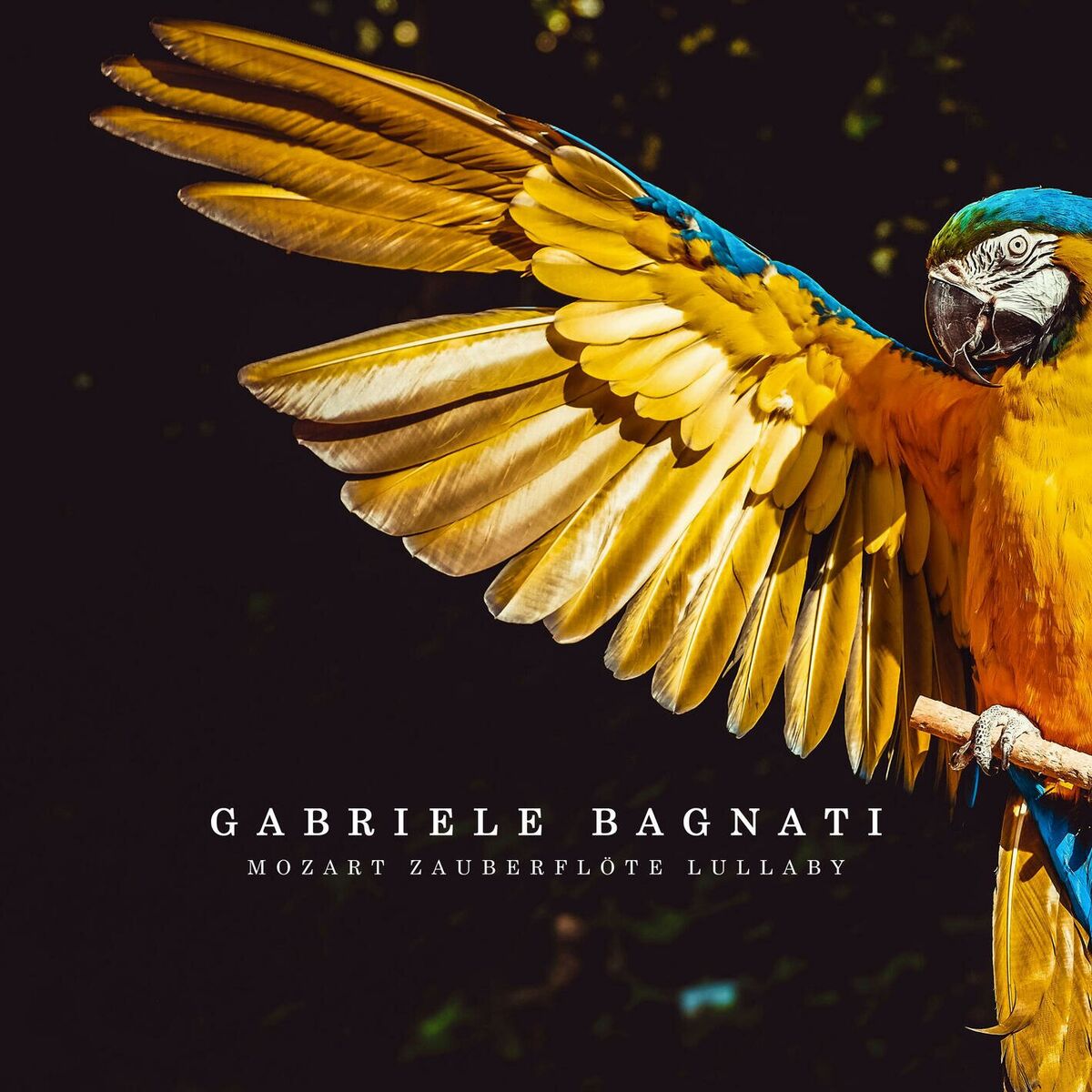 Album cover of Mozart Zauberflöte Lullaby (From Die Zauberflöte, K. 620: Der Vogelfänger bin ich ja, Arr. for Piano by Jan-Peter Klöpfel)