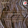 Concerto for Two Violas and Orchestra in C Major : II. Romance by Reinhard Goebel album cover