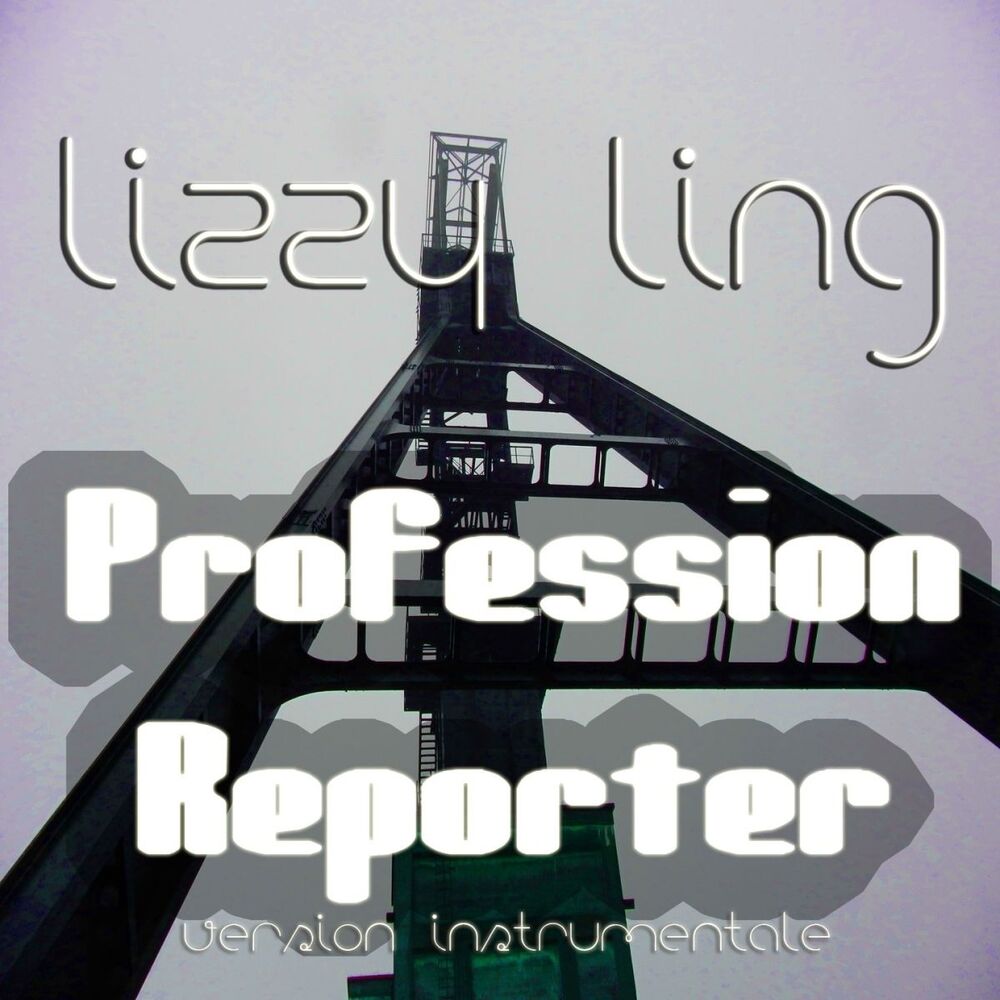 Picture of Profession reporter