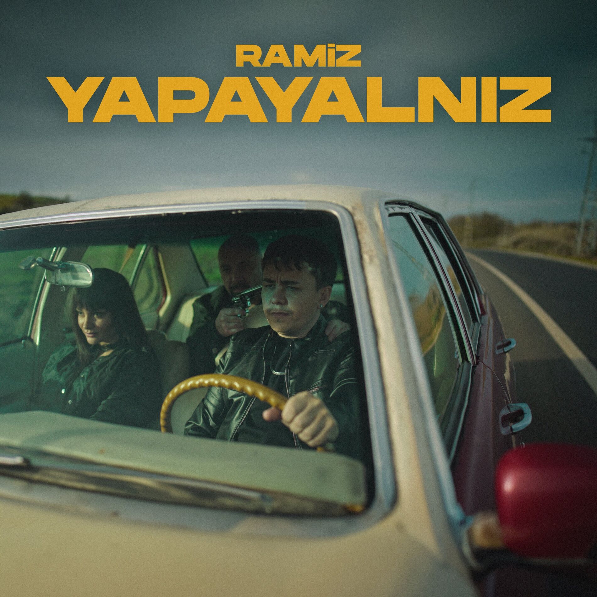 Album cover of Yapayalnız