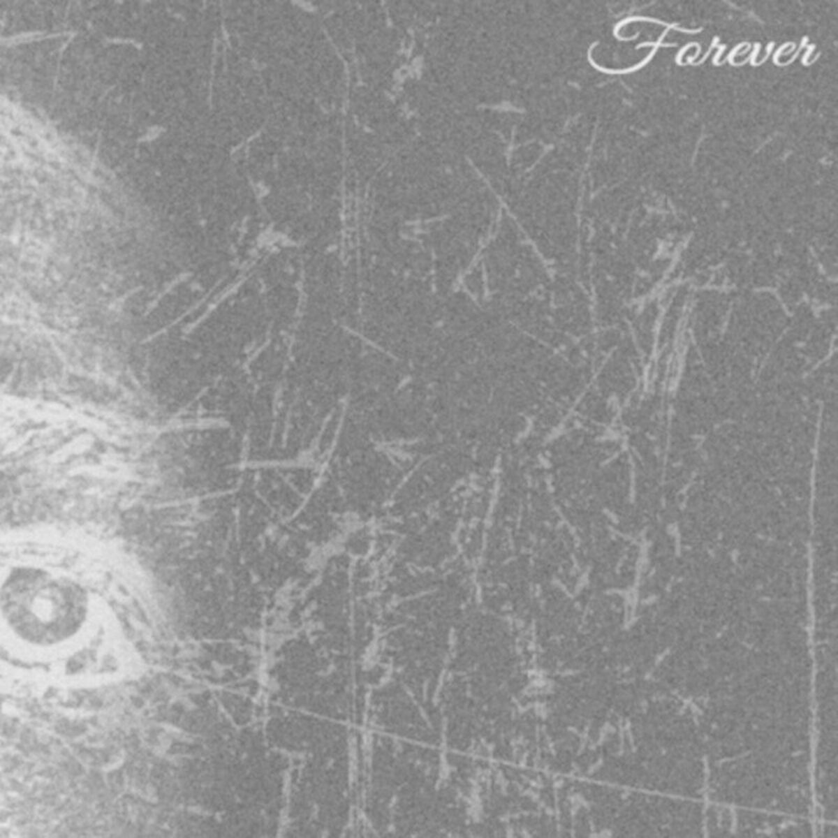 Album cover of Forever
