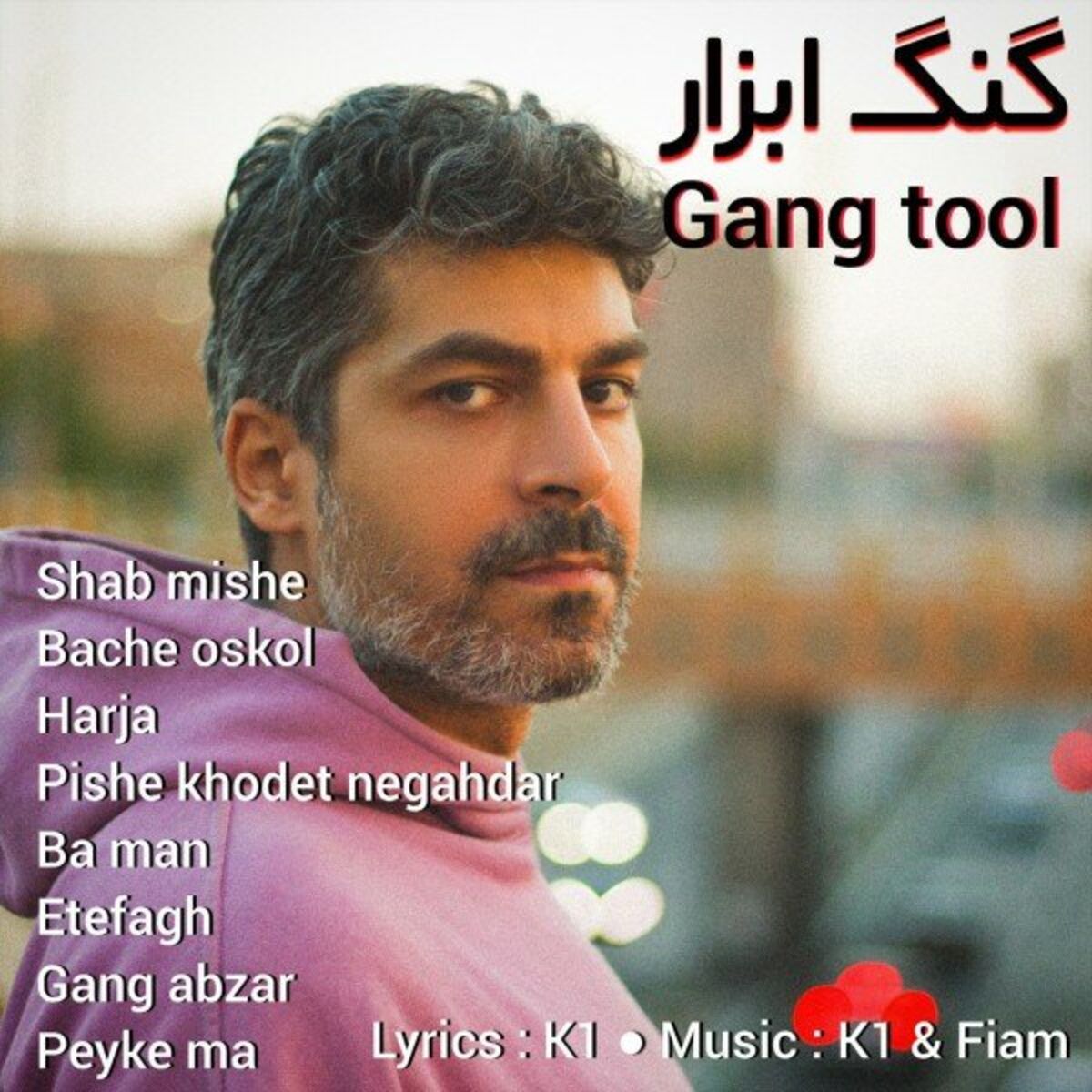 Album cover of Gang Tool