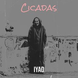 Cover of Cicadas