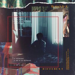 Cover of DIFFERENT
