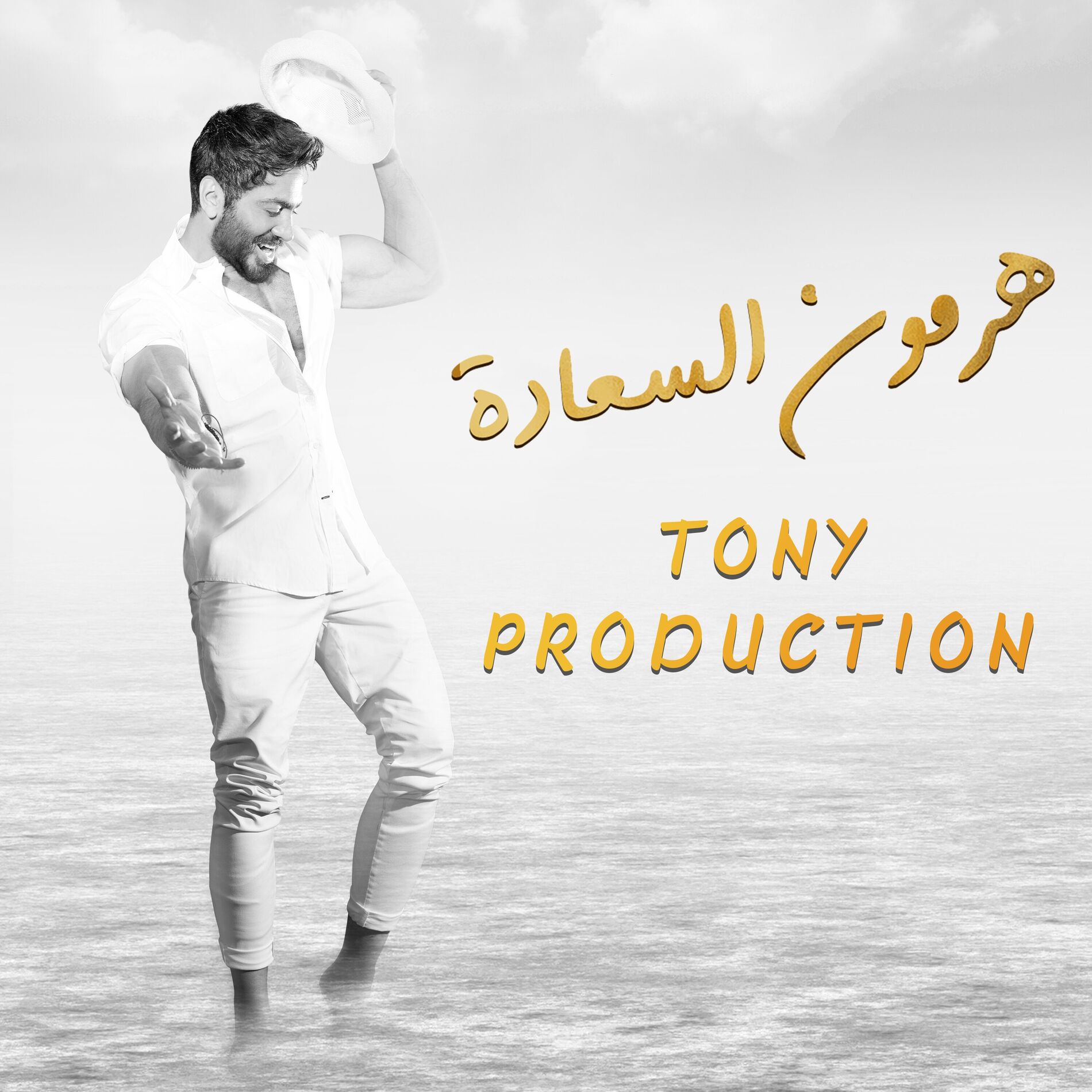 Album cover of Hormone ElSaada