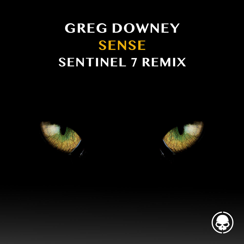 Picture of Sense (Sentinel 7 Remix)