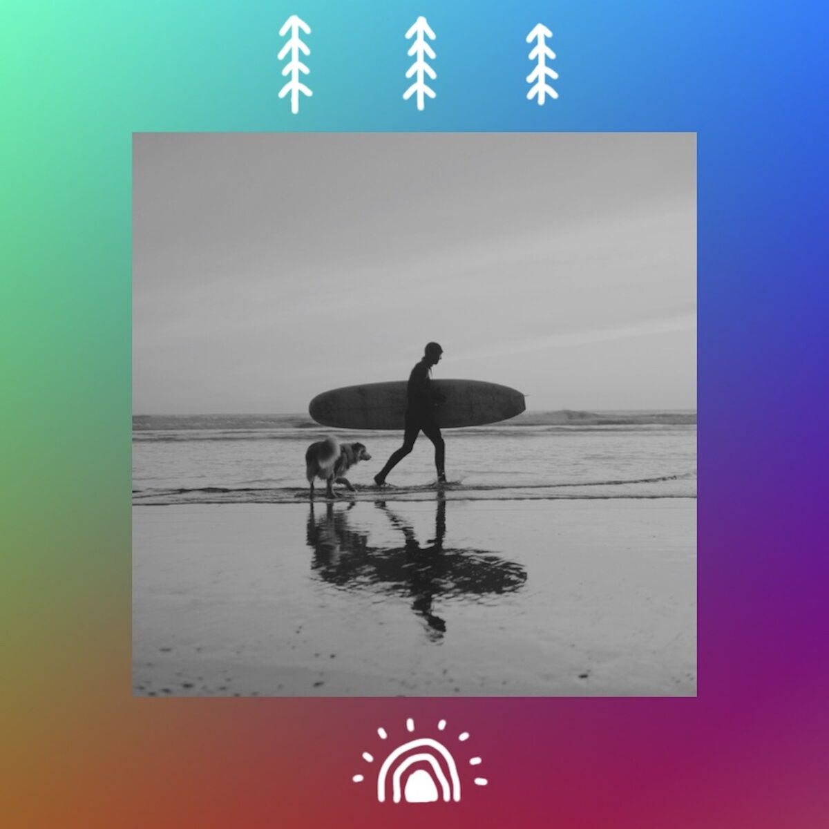 Album cover of The Kingdom