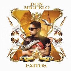 Cover of Exitos