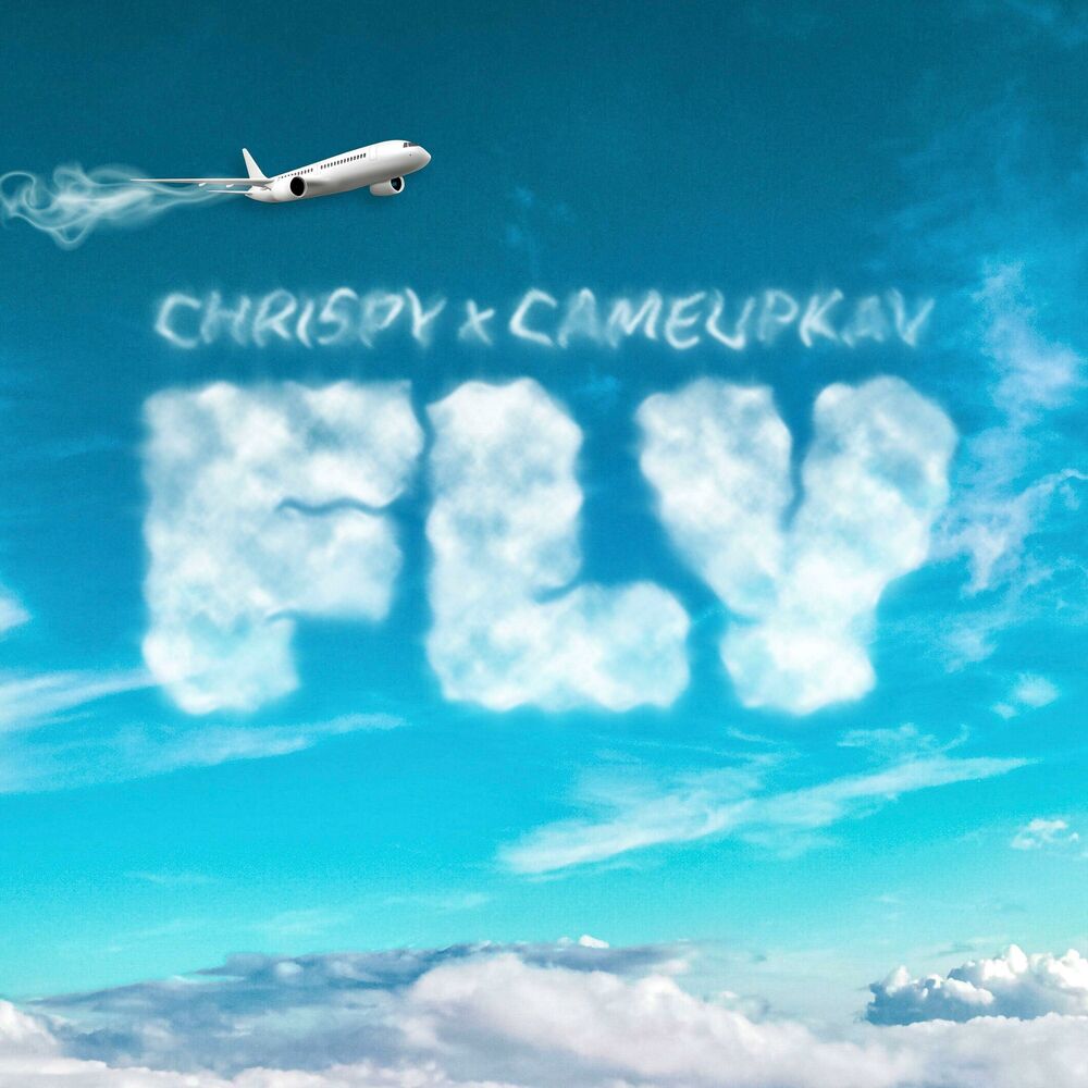 Picture of Fly