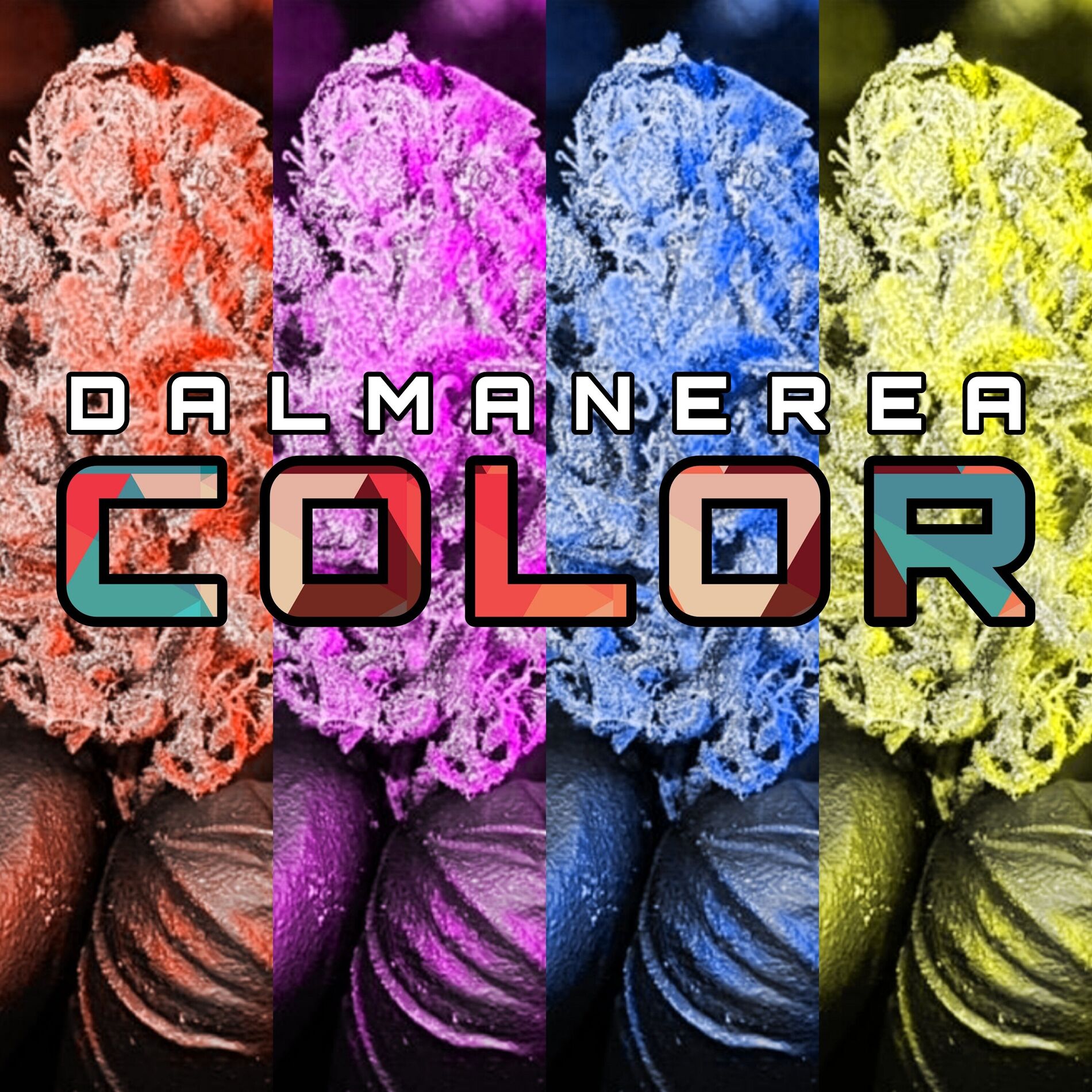 Album cover of Color