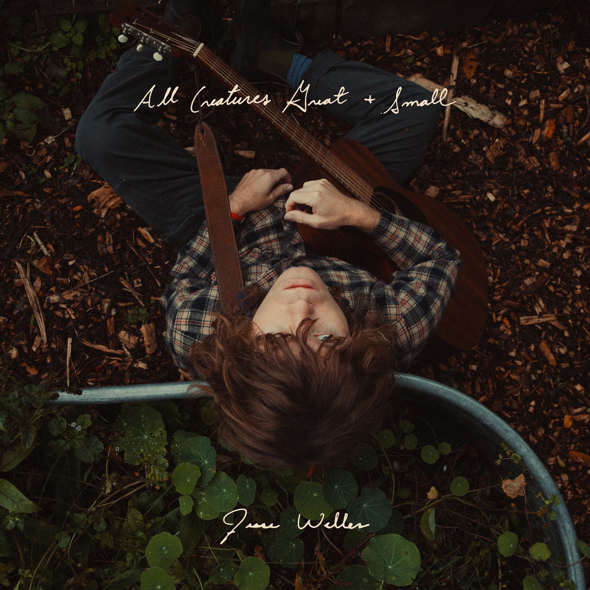 Album cover of All Creatures Great and Small