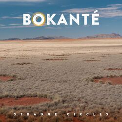 Cover of Strange Circles