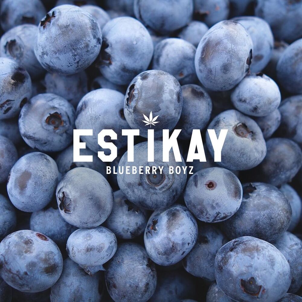 Picture of Blueberry Boyz