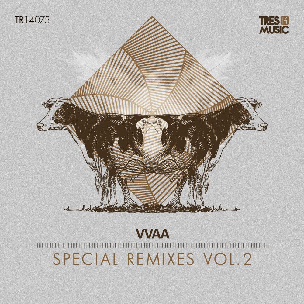 Picture of Special Remixes Vol.2