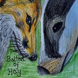 Ballad of Hay