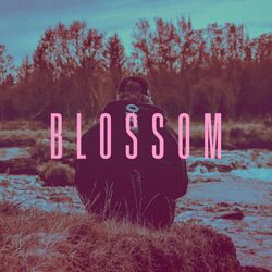 Cover of Blossom