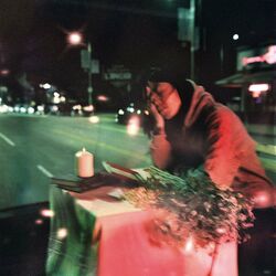 Cover of In the Night