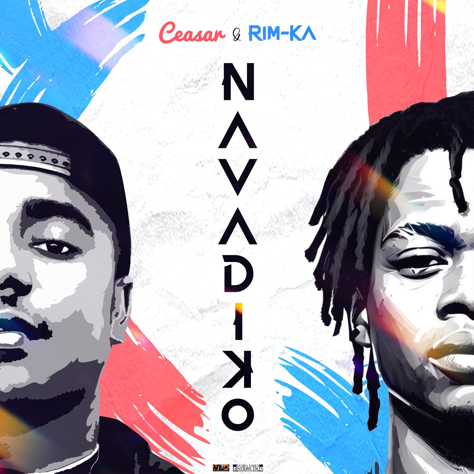 Album cover of Navadiko
