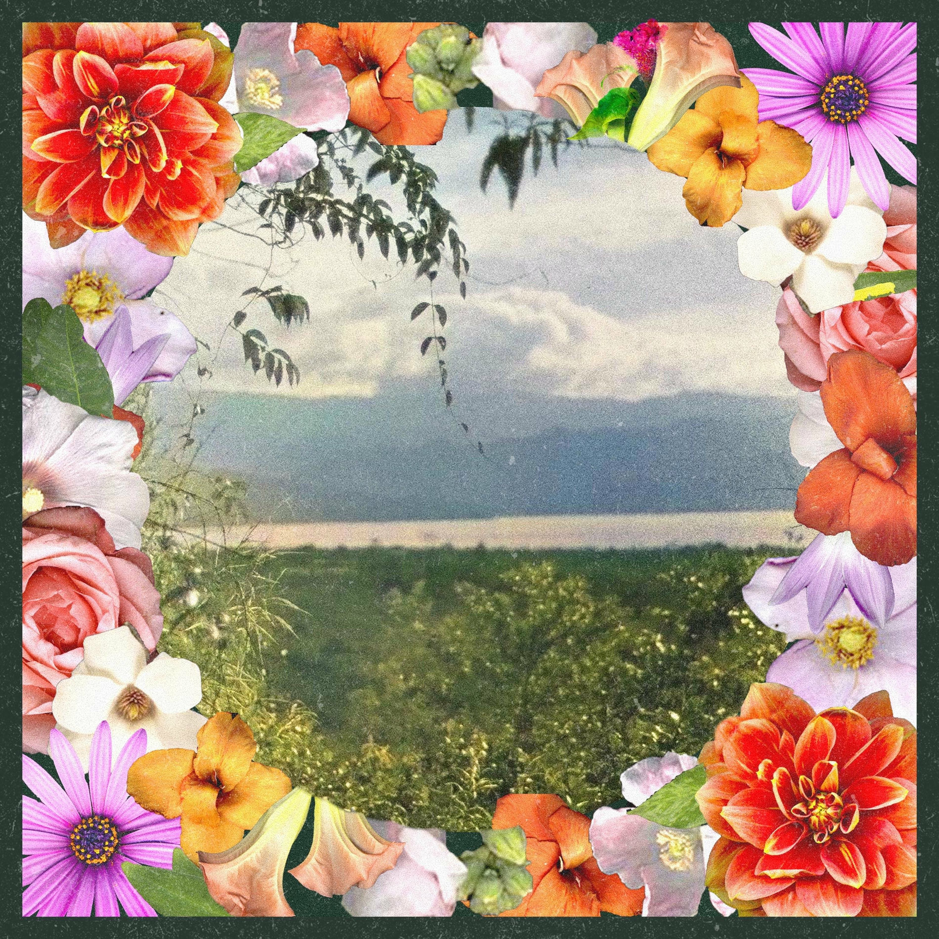 Album cover of Dreaming