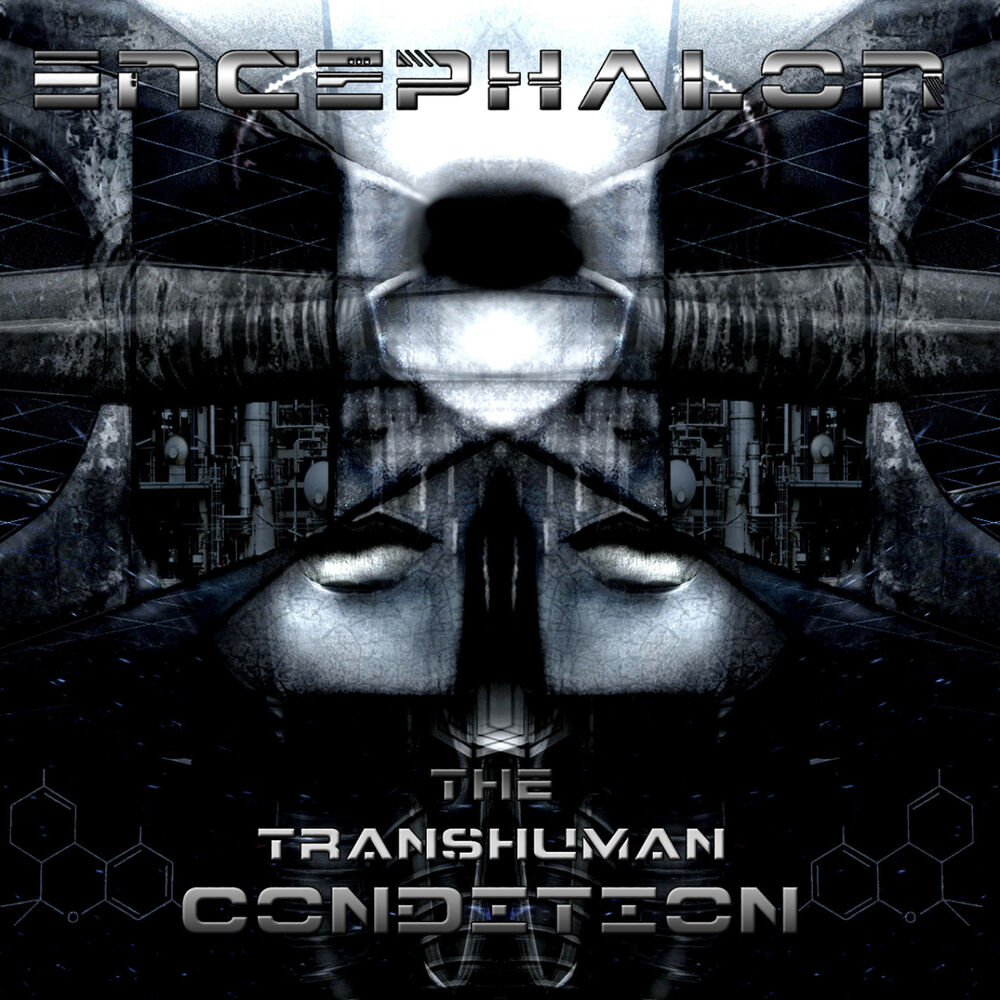 Picture of The Transhuman Condition