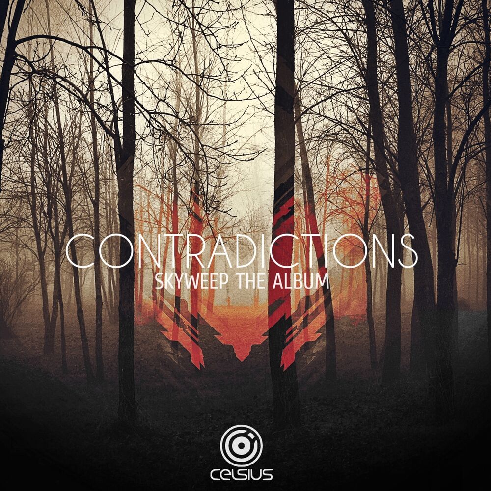 Picture of Contradictions