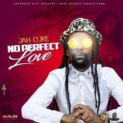 Cover of No Perfect Love