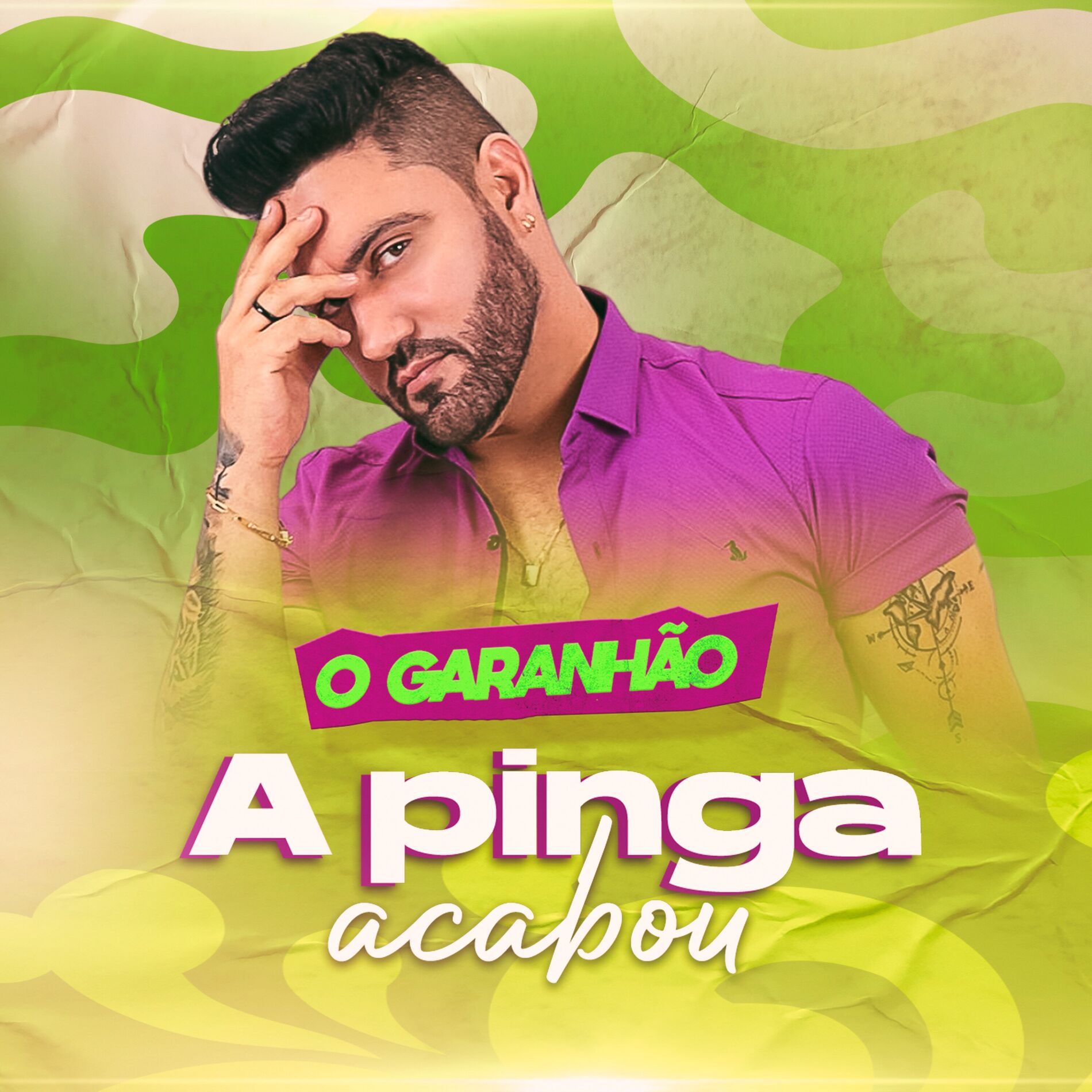 Album cover of A Pinga Acabou
