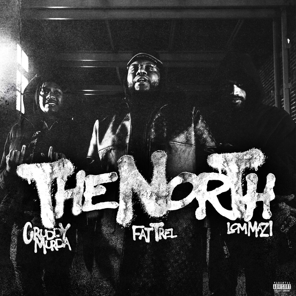 Album cover of The North