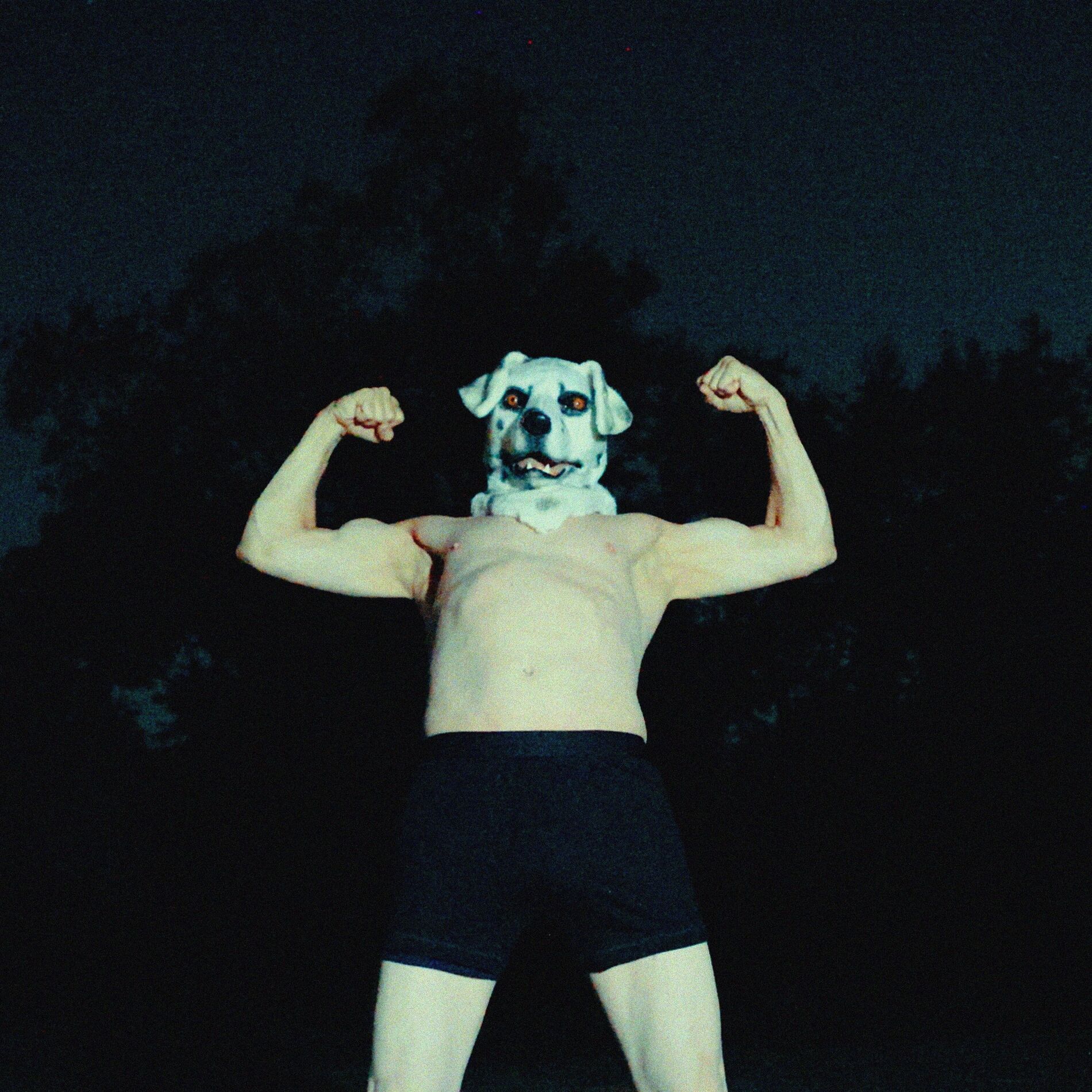 Album cover of DOG HEAD