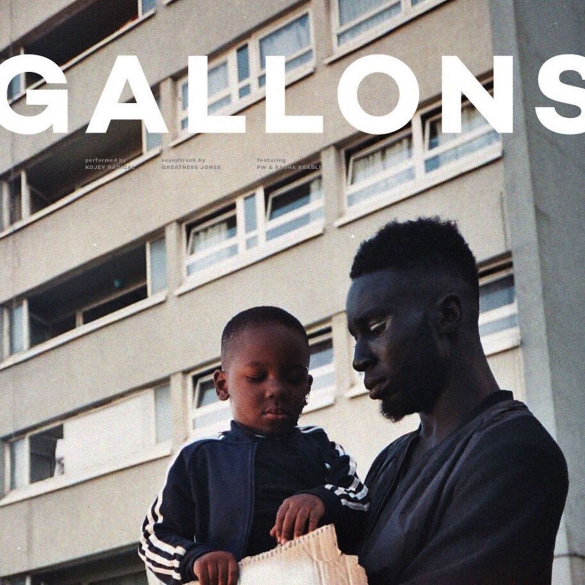 Album cover of Gallons
