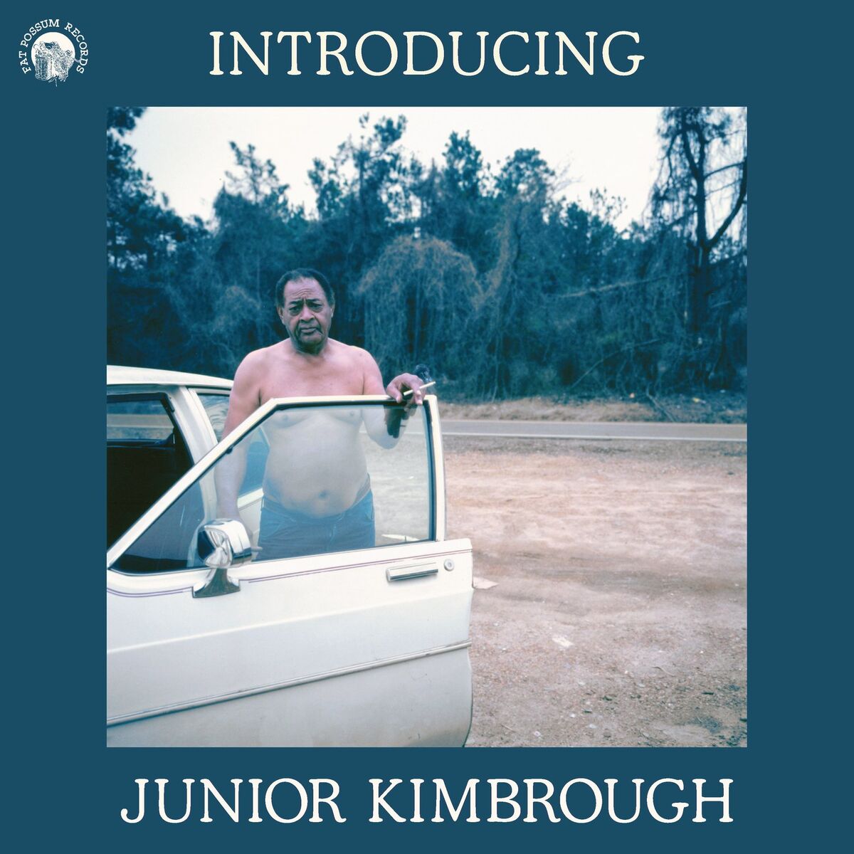 Album cover of Introducing Junior Kimbrough