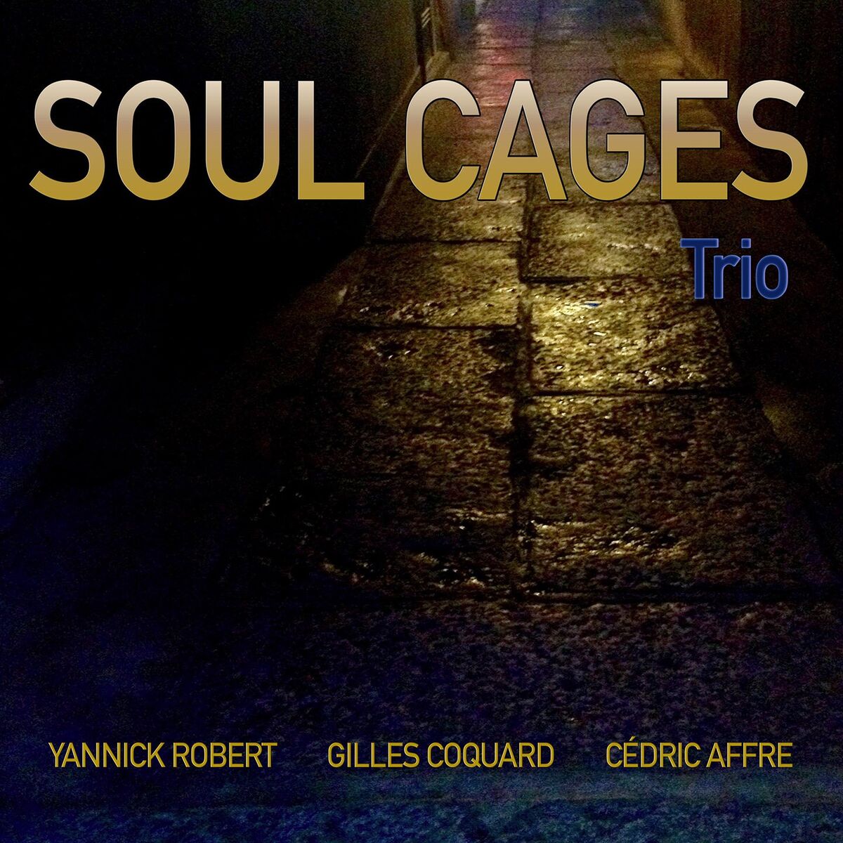 Album cover of Englishman in New York