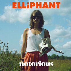 Cover of Notorious
