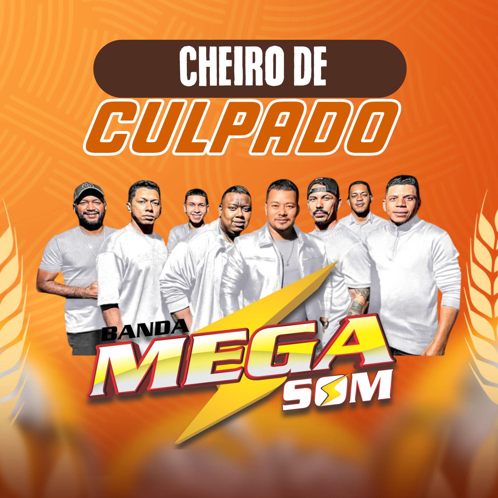 Album cover of Cheiro de Culpado