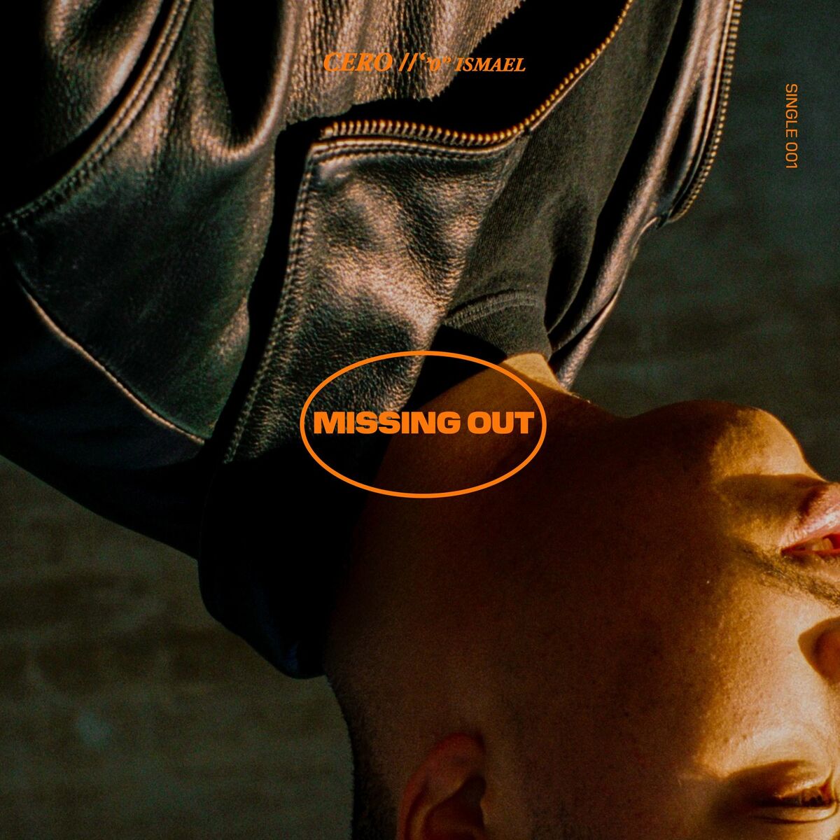 Album cover of Missing Out