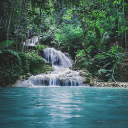 Cover of Morning Meditation by undefined