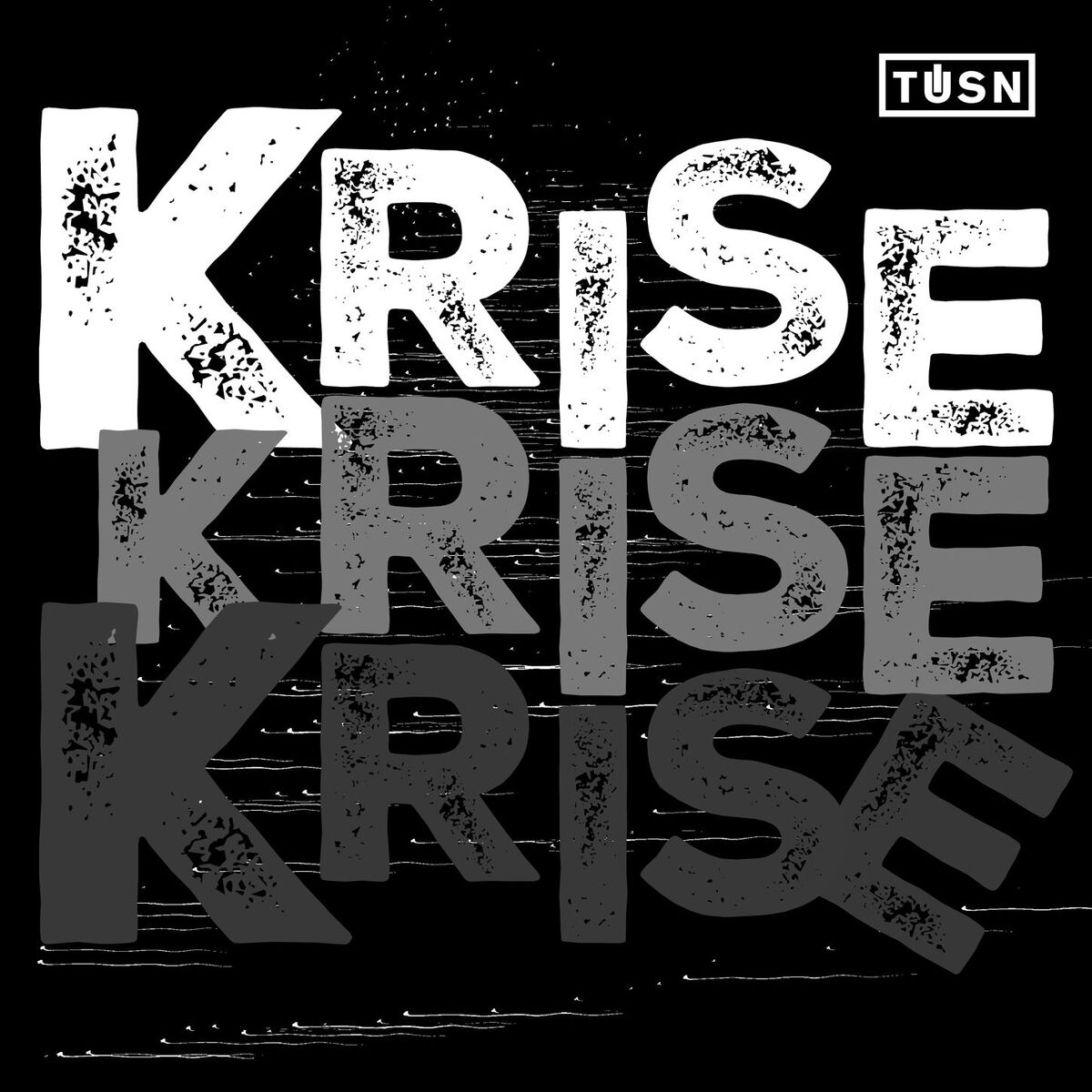 Album cover of Krise