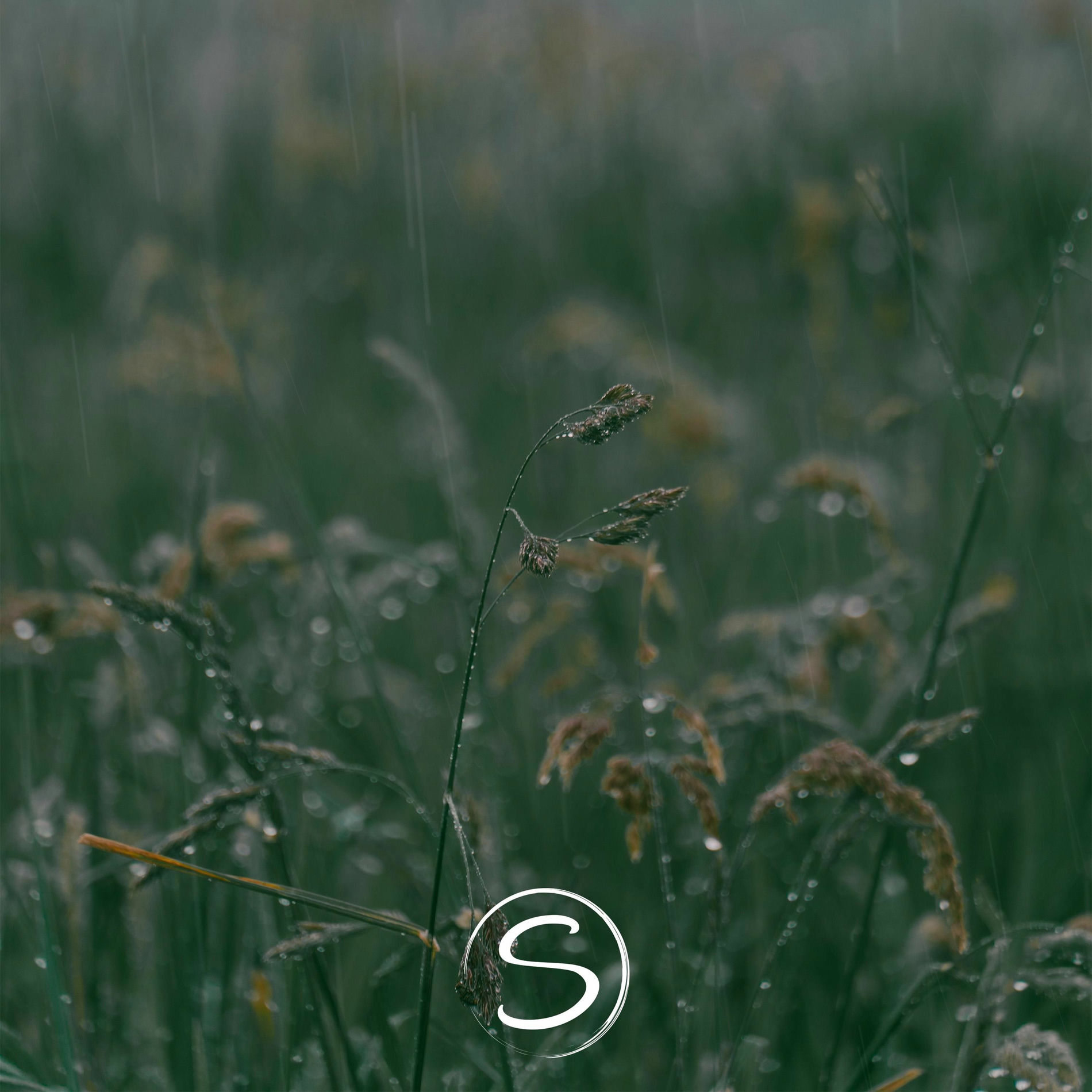 Album cover of Divinity