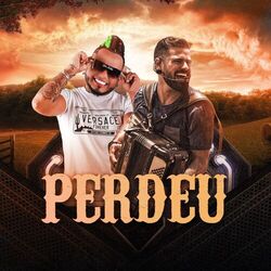 Cover of Perdeu