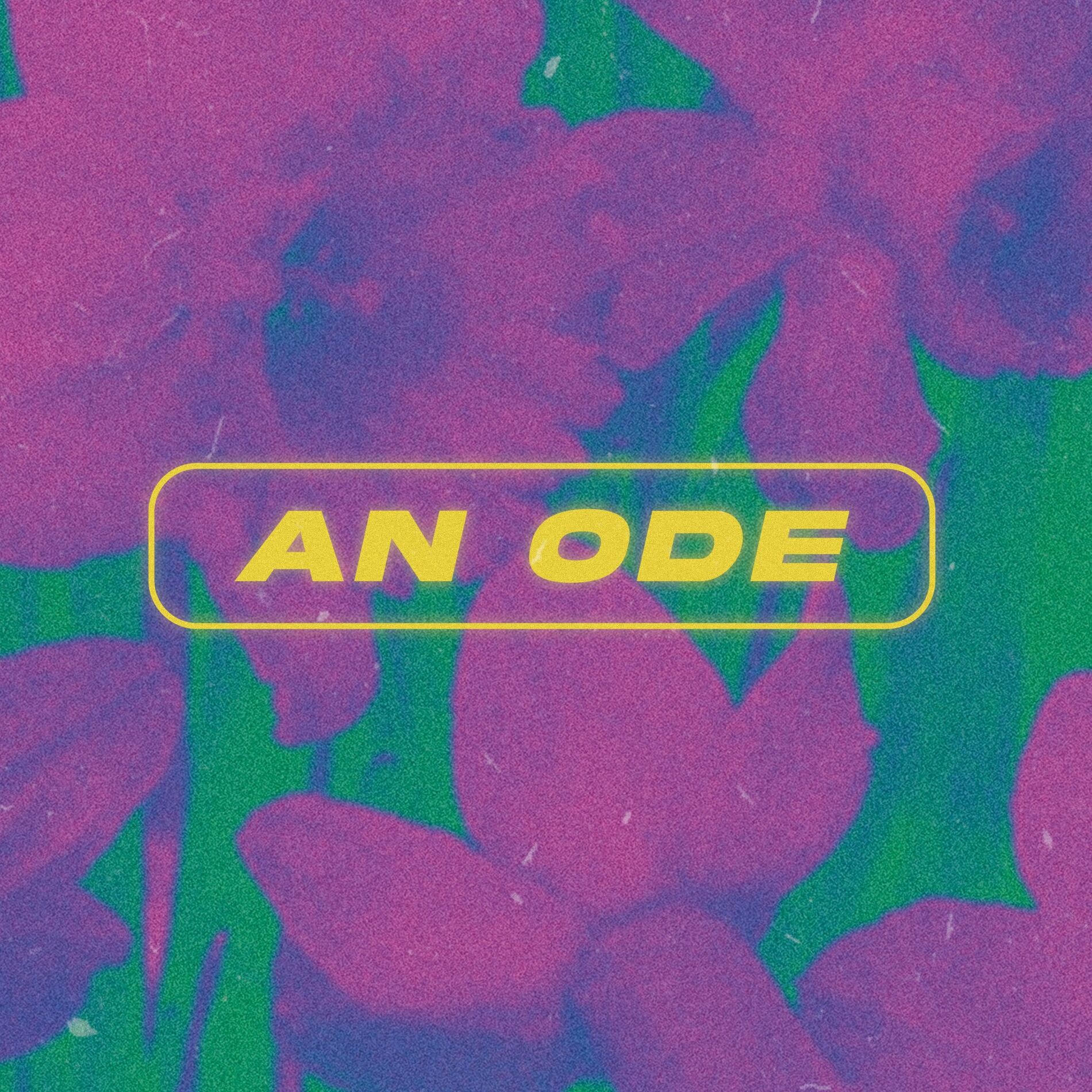 Album cover of An Ode