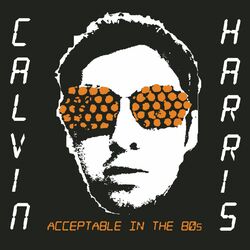 Cover of Acceptable In The 80s